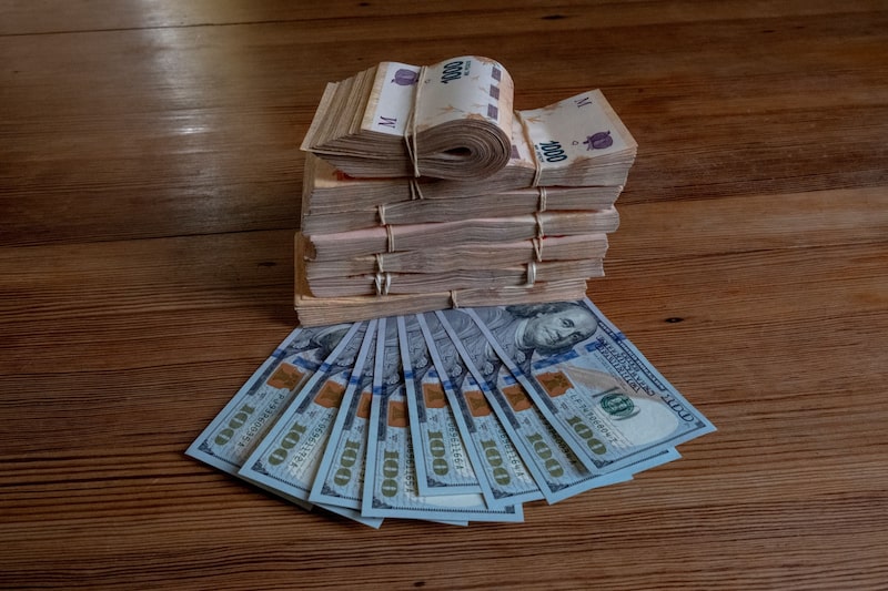 Dólar en Argentina Dólar en Argentina