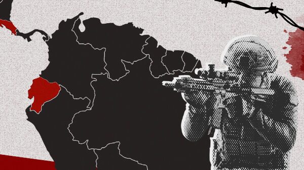 Tráfico se reinventa na América Latina com modelo em pirâmide e investidores ocultos Tráfico se reinventa na América Latina com modelo em pirâmide e investidores ocultos