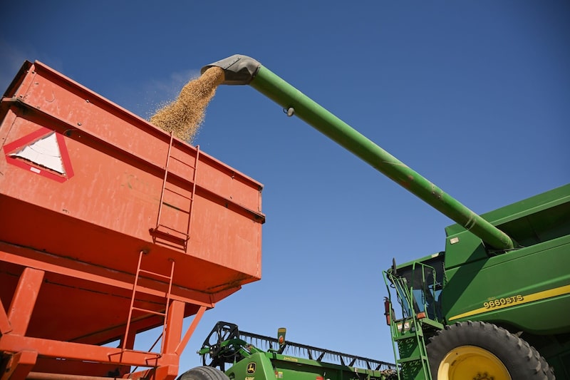Jim Strine carga soja en un remolque de grano en su granja familiar en Trenton, Misuri (EE. UU.), el jueves 9 de octubre de 2025. Jim Strine carga soja en un remolque de grano en su granja familiar en Trenton, Misuri (EE. UU.), el jueves 9 de octubre de 2025.