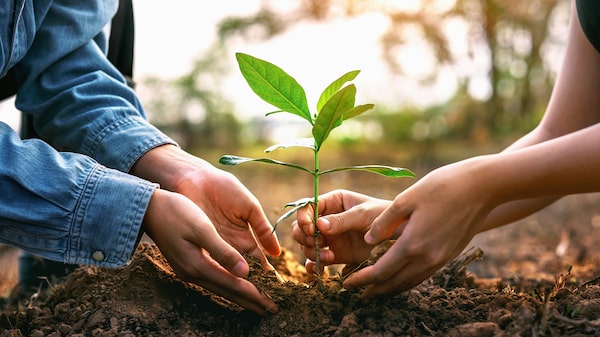 Crescem iniciativas para proteger a biodiversidade em um contexto de degradação global Crescem iniciativas para proteger a biodiversidade em um contexto de degradação global