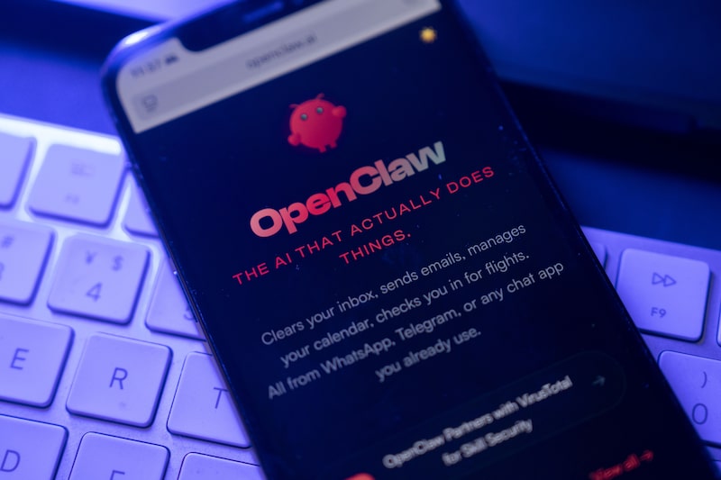 OpenClaw OpenClaw
