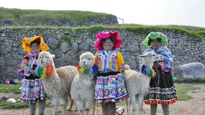 Google Translate Adds 3 South American Indigenous Languages Google Translate Adds 3 South American Indigenous Languages