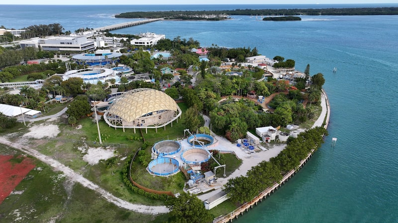 La empresa dijo el 30 de mayo que cerraba un parque de Florida tras la muerte prematura de un quinto delfín nariz de botella en el último año. (Getty Images) La empresa dijo el 30 de mayo que cerraba un parque de Florida tras la muerte prematura de un quinto delfín nariz de botella en el último año. (Getty Images)