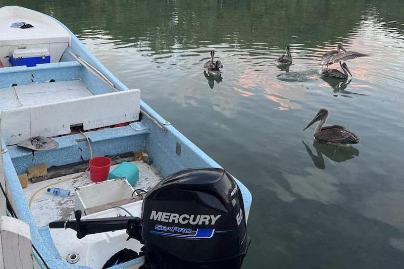 Belice quiere revivir su industria millonaria de camarón Belice quiere revivir su industria millonaria de camarón