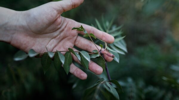 ¿Qué pasaría si el mejor escenario para el cambio climático fuera mejor?  ¿Qué pasaría si el mejor escenario para el cambio climático fuera mejor?