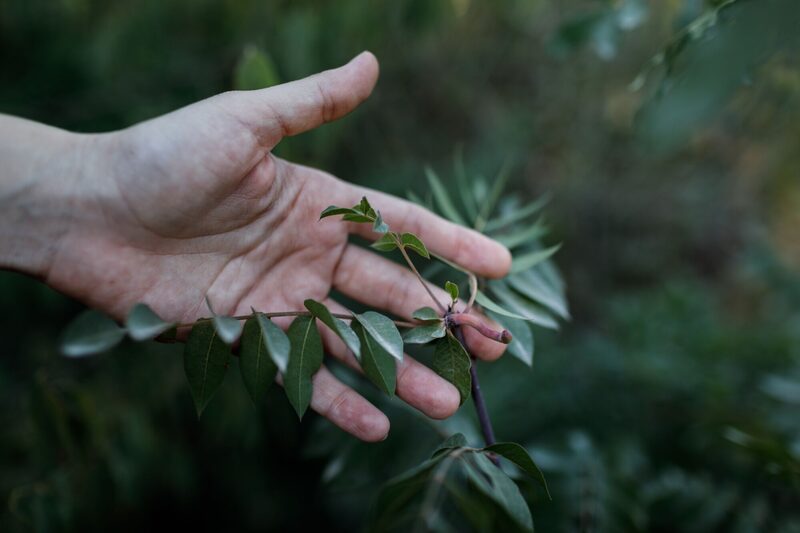 Ripple y sus colegas argumentan que los escenarios que los expertos en clima utilizan para enfrentar el futuro no son adecuados. Ripple y sus colegas argumentan que los escenarios que los expertos en clima utilizan para enfrentar el futuro no son adecuados.