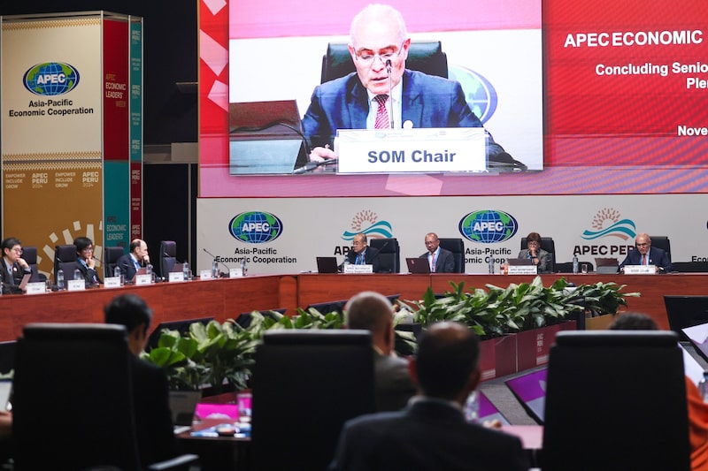 Países que participarán en la APEC 2024 Países que participarán en la APEC 2024