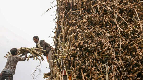 El encarecimiento del azúcar es una amenaza para la inflación alimentaria El encarecimiento del azúcar es una amenaza para la inflación alimentaria