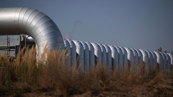 Putin está llevando la economía alemana al límite con cortes al suministro de gas Putin está llevando la economía alemana al límite con cortes al suministro de gas