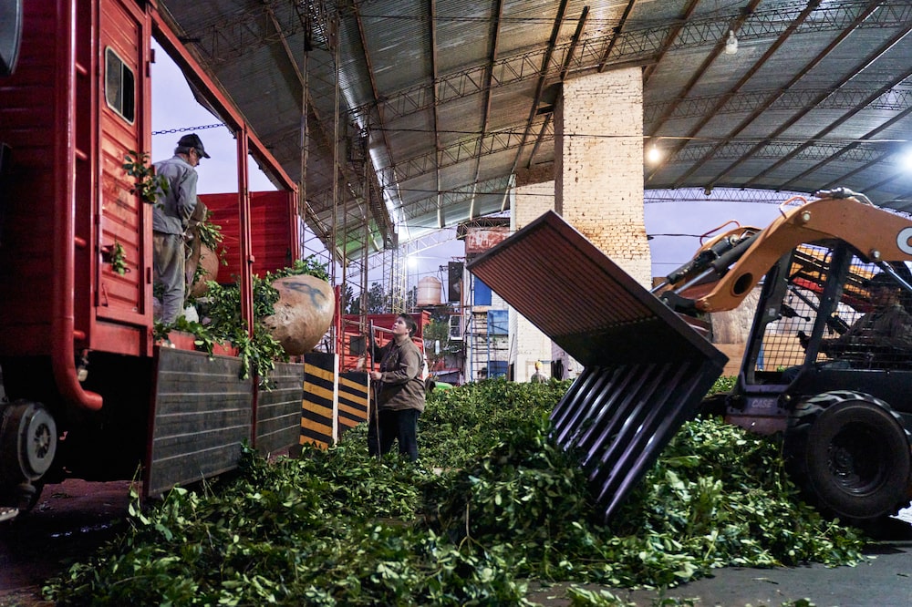 Fotógrafa: Natalia Favre/Bloomberg Fotógrafa: Natalia Favre/Bloomberg