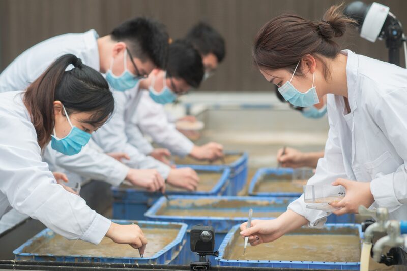 China ha intensificado su atención a la seguridad y el suministro de alimentos, impulsando las importaciones e instando a una mayor autosuficiencia en los cultivos básico. China ha intensificado su atención a la seguridad y el suministro de alimentos, impulsando las importaciones e instando a una mayor autosuficiencia en los cultivos básico.