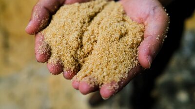 Azúcar sin refinar cae a mínimo de cinco años ante previsiones de sobreoferta mundial Azúcar sin refinar cae a mínimo de cinco años ante previsiones de sobreoferta mundial