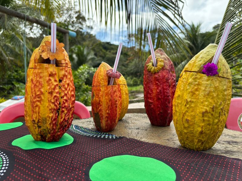 Suco de cacau servido diretamente dentro do cacau Suco de cacau servido diretamente dentro do cacau
