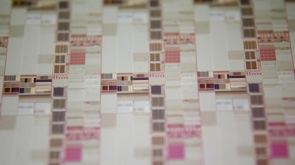 Posible hito en tecnología de superconductores impulsa tecnológicas chinas y coreanas Posible hito en tecnología de superconductores impulsa tecnológicas chinas y coreanas