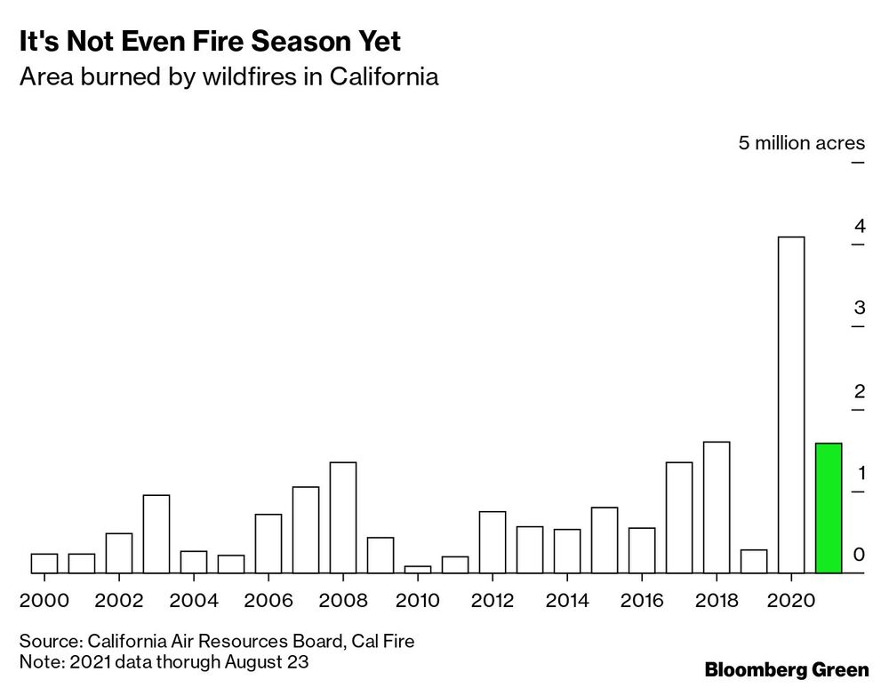 Superficie quemada por los incendios forestales. Superficie quemada por los incendios forestales.