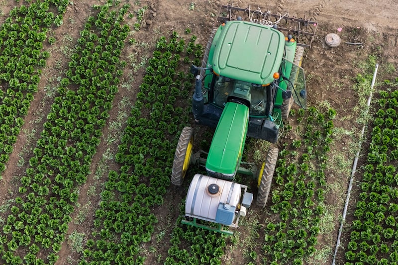 Un tractor gotea fertilizante nitrogenado sobre hileras de lechuga romana en Pisoni Farms, cerca de Gonzales, California. Un tractor gotea fertilizante nitrogenado sobre hileras de lechuga romana en Pisoni Farms, cerca de Gonzales, California.