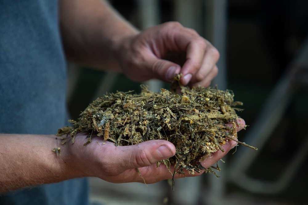 Josh Perkins holds a handful of feed made with roasted soybeans. Photographer: Kaiti Sullivan/Bloomberg Josh Perkins holds a handful of feed made with roasted soybeans. Photographer: Kaiti Sullivan/Bloomberg