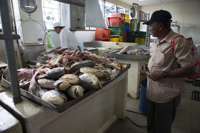La etiqueta se ha concedido a muchas empresas que procesan alimentos. La etiqueta se ha concedido a muchas empresas que procesan alimentos.