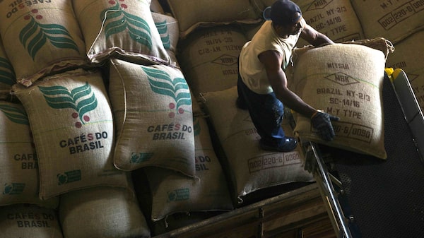 Del café a la carne de res: aranceles de Trump a Brasil amenazan al comercio mundial Del café a la carne de res: aranceles de Trump a Brasil amenazan al comercio mundial