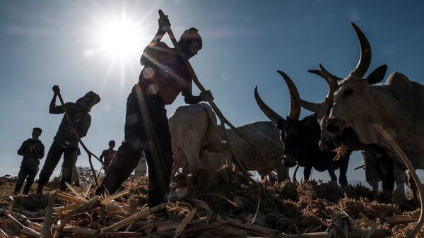 Países con riesgo climático tienen poco tiempo para arreglar provisión de alimentos: ONU Países con riesgo climático tienen poco tiempo para arreglar provisión de alimentos: ONU