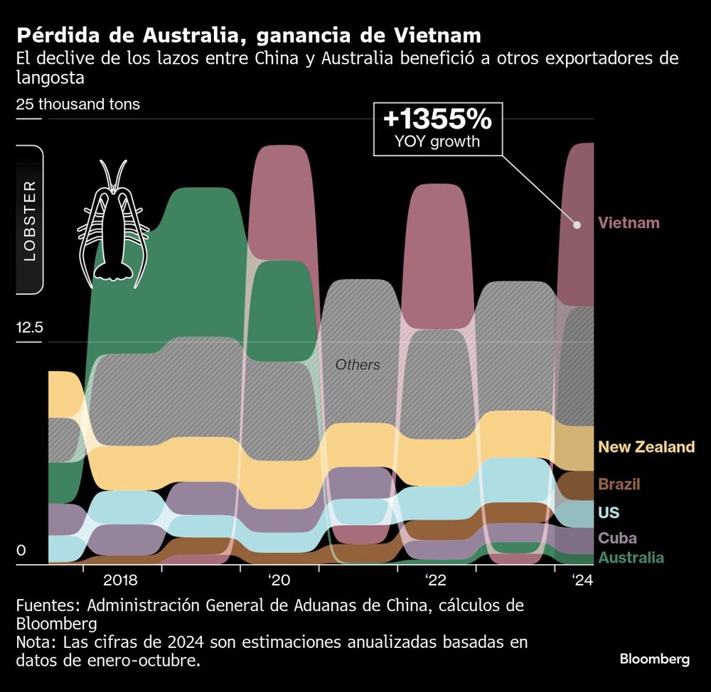 Pérdida de Australia, ganancia de Vietnam | El declive de los lazos entre China y Australia benefició a otros exportadores de langosta Pérdida de Australia, ganancia de Vietnam | El declive de los lazos entre China y Australia benefició a otros exportadores de langosta