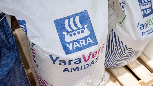 Yara sinaliza que manterá disciplina de gastos ao expandir projetos de amônia nos EUA Yara sinaliza que manterá disciplina de gastos ao expandir projetos de amônia nos EUA