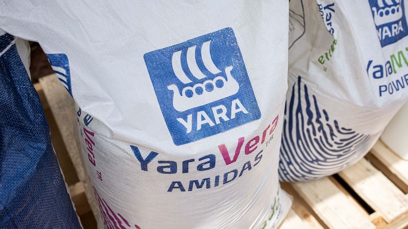 Yara sinaliza que manterá disciplina de gastos ao expandir projetos de amônia Yara sinaliza que manterá disciplina de gastos ao expandir projetos de amônia