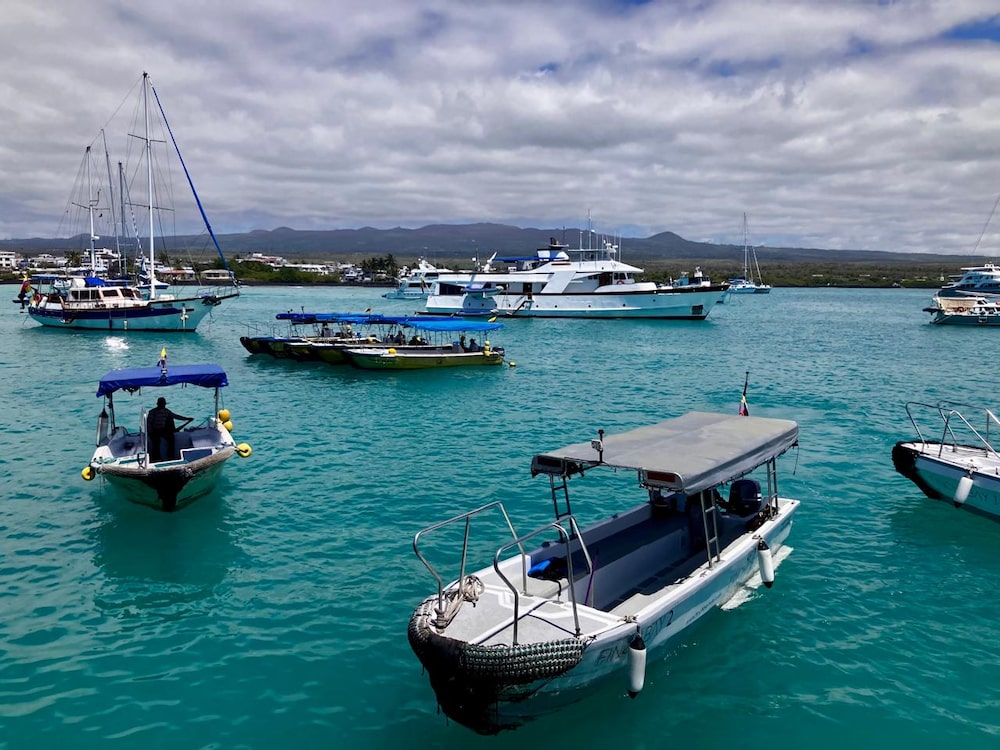 Taxis acuáticos en Santa Cruz, Galápagos, Ecuador. Foto: Erika Astudillo Taxis acuáticos en Santa Cruz, Galápagos, Ecuador. Foto: Erika Astudillo