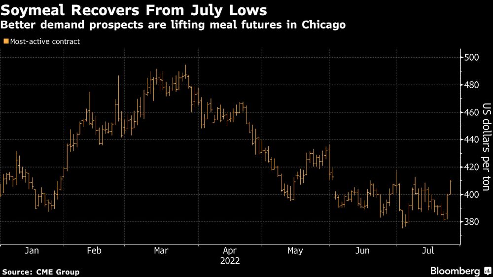 Las mejores perspectivas de la demanda elevan los futuros de las harinas en Chicago Las mejores perspectivas de la demanda elevan los futuros de las harinas en Chicago