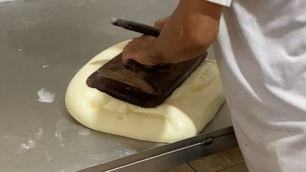 Venezuela al frente de una revolución quesera pese a caída ante Suiza hace 8 años Venezuela al frente de una revolución quesera pese a caída ante Suiza hace 8 años