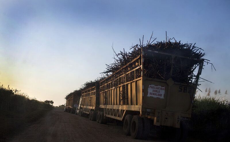 As ações de São Martinho estão entre as preferidas de analistas para investir neste mês As ações de São Martinho estão entre as preferidas de analistas para investir neste mês