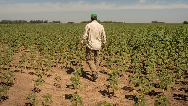 Massa confirmó el dólar agro: el detalle de todas las medidas económicas en Argentina Massa confirmó el dólar agro: el detalle de todas las medidas económicas en Argentina