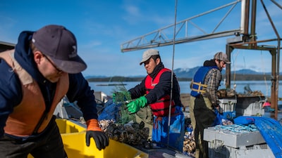Canadá retira los pescados y mariscos de sus aranceles a Estados Unidos tras recibir comentarios Canadá retira los pescados y mariscos de sus aranceles a Estados Unidos tras recibir comentarios