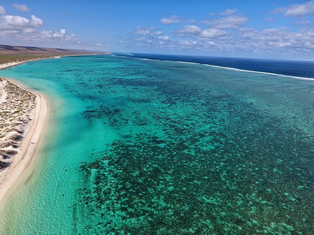 Foto: Tripadvisor Foto: Tripadvisor