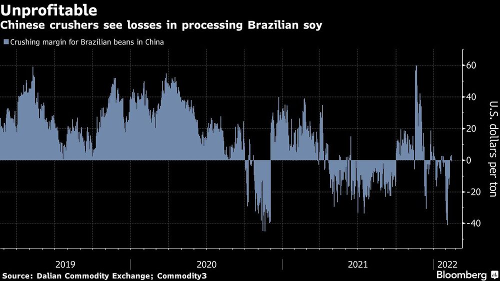 Chinese crushers see losses in processing Brazilian soy Chinese crushers see losses in processing Brazilian soy