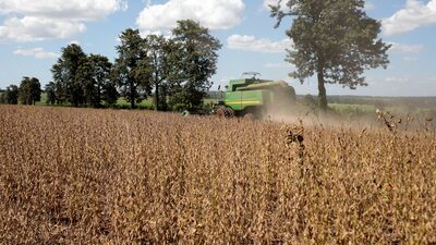 Bradesco: carteira do agro vai crescer com inadimplência sob controle, diz CEO Bradesco: carteira do agro vai crescer com inadimplência sob controle, diz CEO