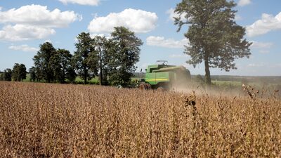 Com shows de sertanejo e churrasco, XP busca renovar o fascínio por Fiagros Com shows de sertanejo e churrasco, XP busca renovar o fascínio por Fiagros