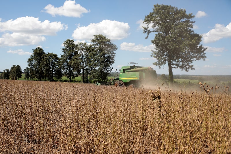 Colheita de soja Colheita de soja