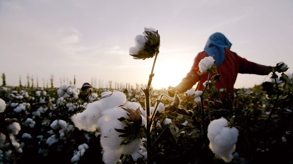 EUA proíbem importações de 37 empresas chinesas devido a acusações de trabalho forçado EUA proíbem importações de 37 empresas chinesas devido a acusações de trabalho forçado