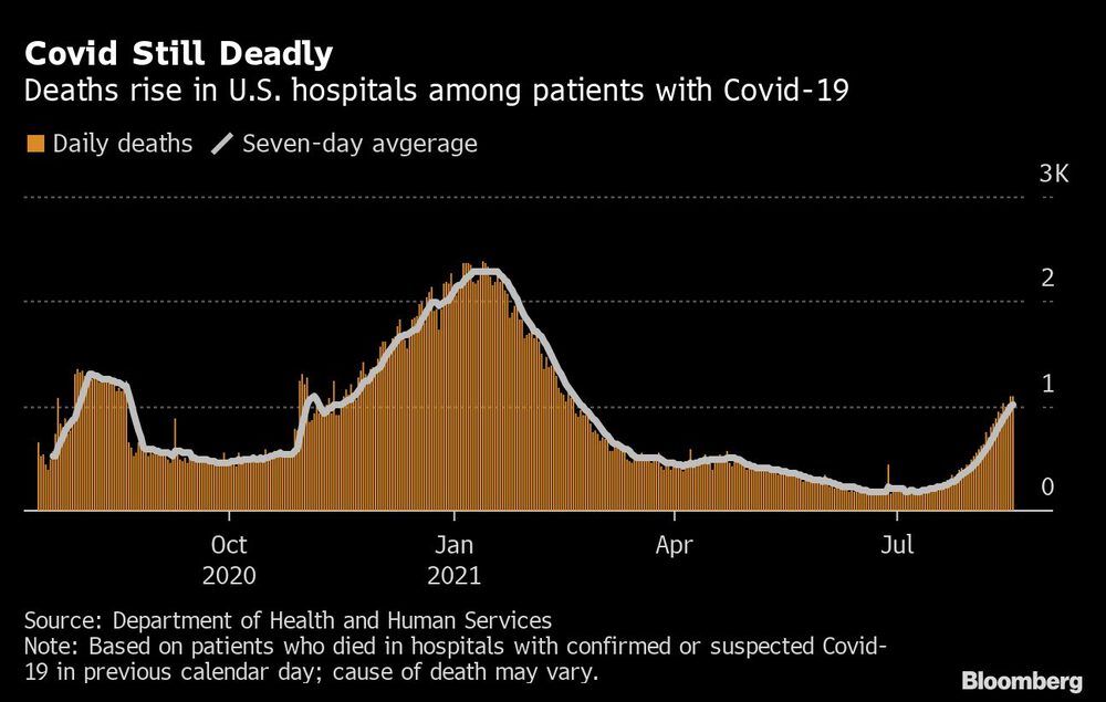 El número de muertes de pacientes con Covid-19 aumenta en hospitales de EE.UU. El número de muertes de pacientes con Covid-19 aumenta en hospitales de EE.UU.