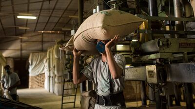 Em ação que ajuda o Brasil, deputados dos EUA querem isentar café de tarifas Em ação que ajuda o Brasil, deputados dos EUA querem isentar café de tarifas