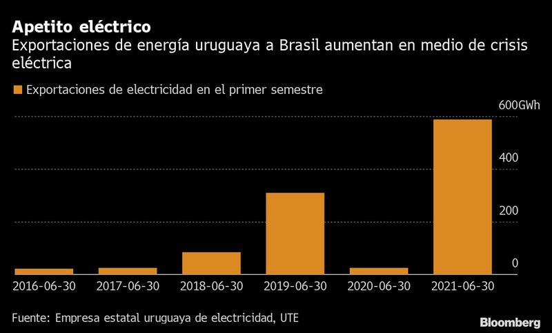 Apetito eléctrico Apetito eléctrico