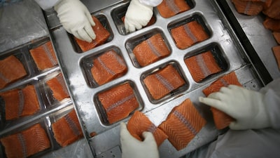 A reabilitação do salmão: como a Damm rompe barreiras do mercado com peixe sustentável A reabilitação do salmão: como a Damm rompe barreiras do mercado com peixe sustentável