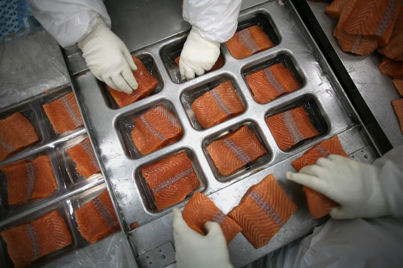 A reabilitação do salmão: como a Damm rompe barreiras do mercado com peixe sustentável A reabilitação do salmão: como a Damm rompe barreiras do mercado com peixe sustentável