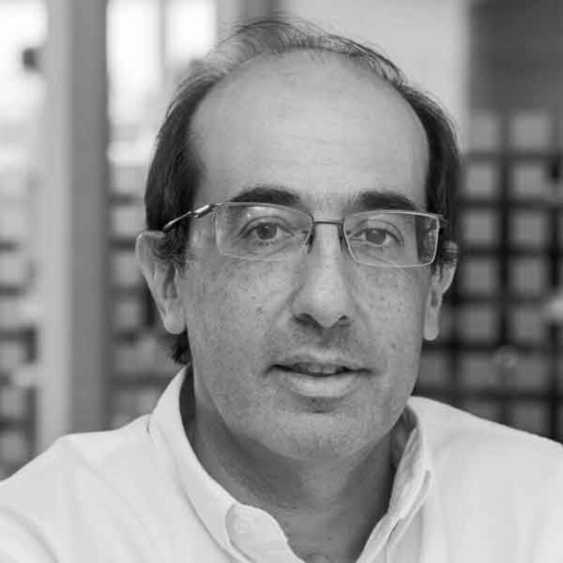 Damián Scokin Damián Scokin