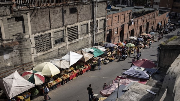 La mitad de la masa trabajadora en Venezuela está representada por informales La mitad de la masa trabajadora en Venezuela está representada por informales