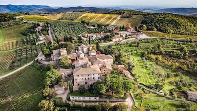 Vinícola italiana se inspira na Ferrari e usa escassez para produzir rótulos de luxo Vinícola italiana se inspira na Ferrari e usa escassez para produzir rótulos de luxo