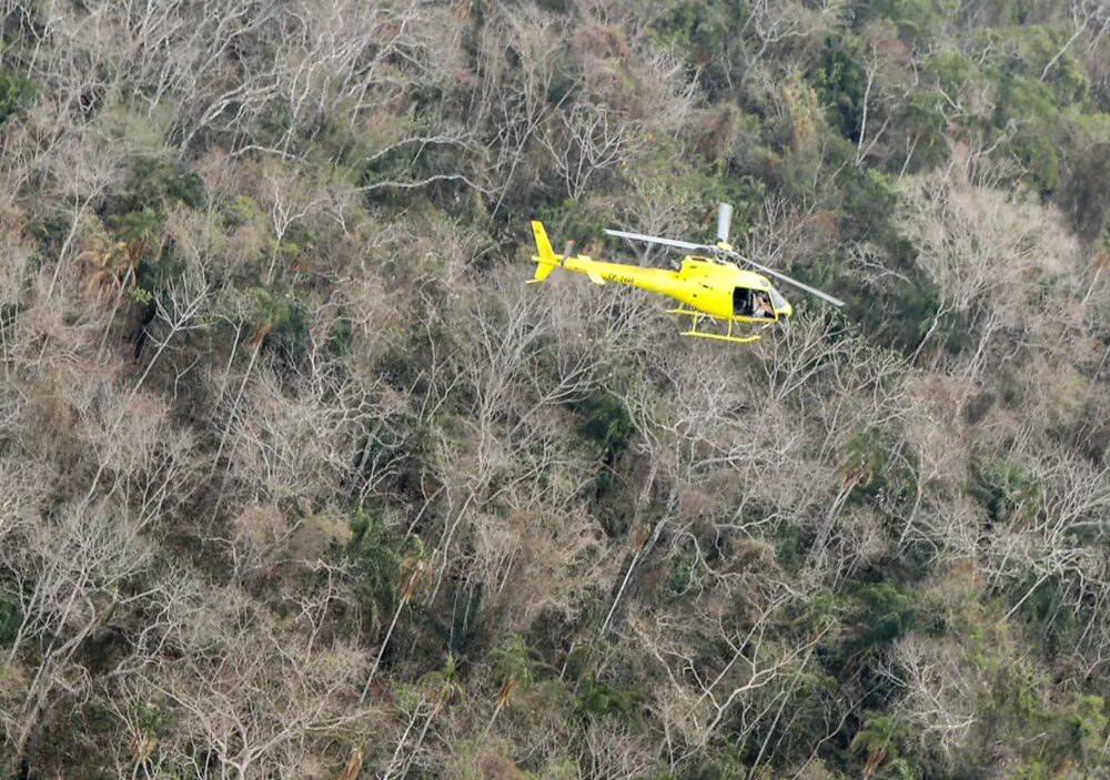 H125 integra a família de helicópteros Esquilo H125 integra a família de helicópteros Esquilo