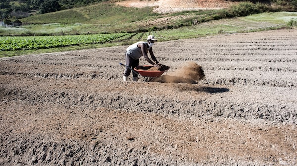 Fertilizer Turmoil Bolsters Brazil’s Case for Mining the Amazon Fertilizer Turmoil Bolsters Brazil’s Case for Mining the Amazon
