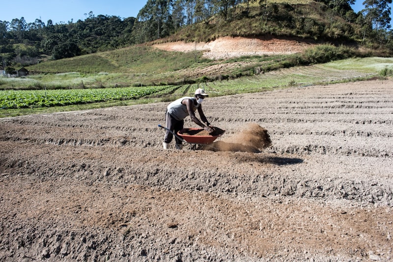 Insufficient domestic supplies of crop nutrients have been a thorn in the side of Brazil for decades. Insufficient domestic supplies of crop nutrients have been a thorn in the side of Brazil for decades.